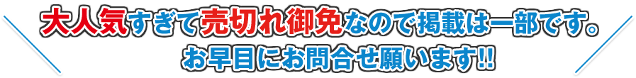 大人気すぎて売切れ御免なので掲載は一部です。