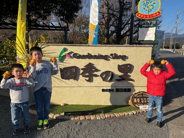 レモン狩り♪